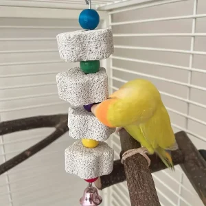 Bird Molar Toy
