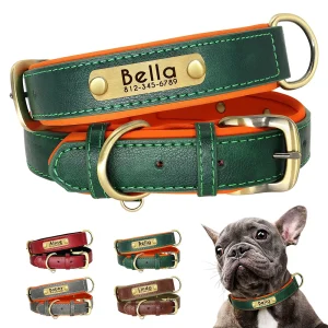 Custom Leather Dog Collar