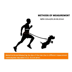 Dog Walking Pack