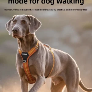 No-Pull Harness
